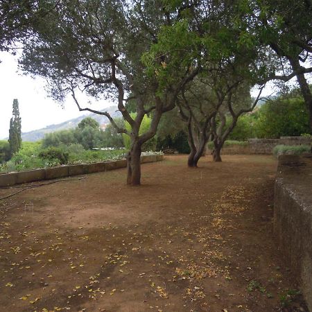 Appartamento In Villa Fortunata Terra Marina Serra Exteriör bild