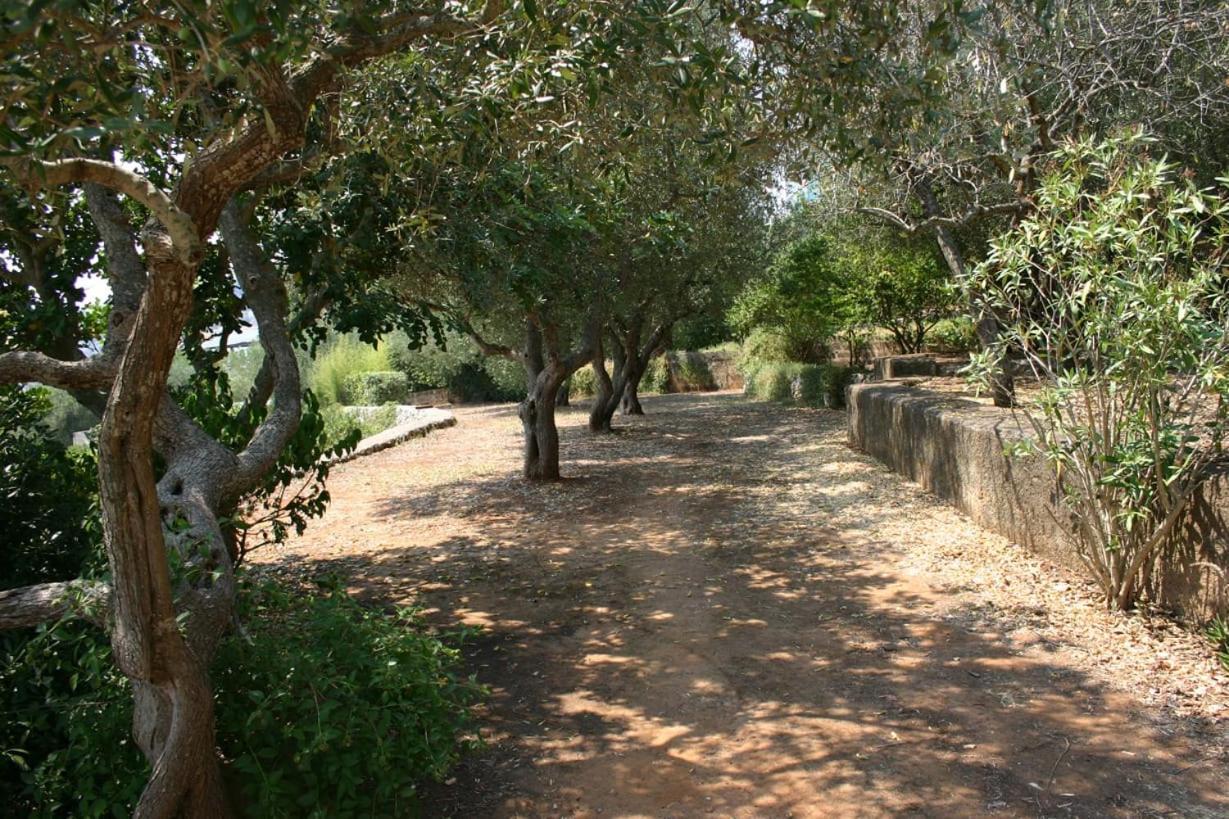 Appartamento In Villa Fortunata Terra Marina Serra Exteriör bild